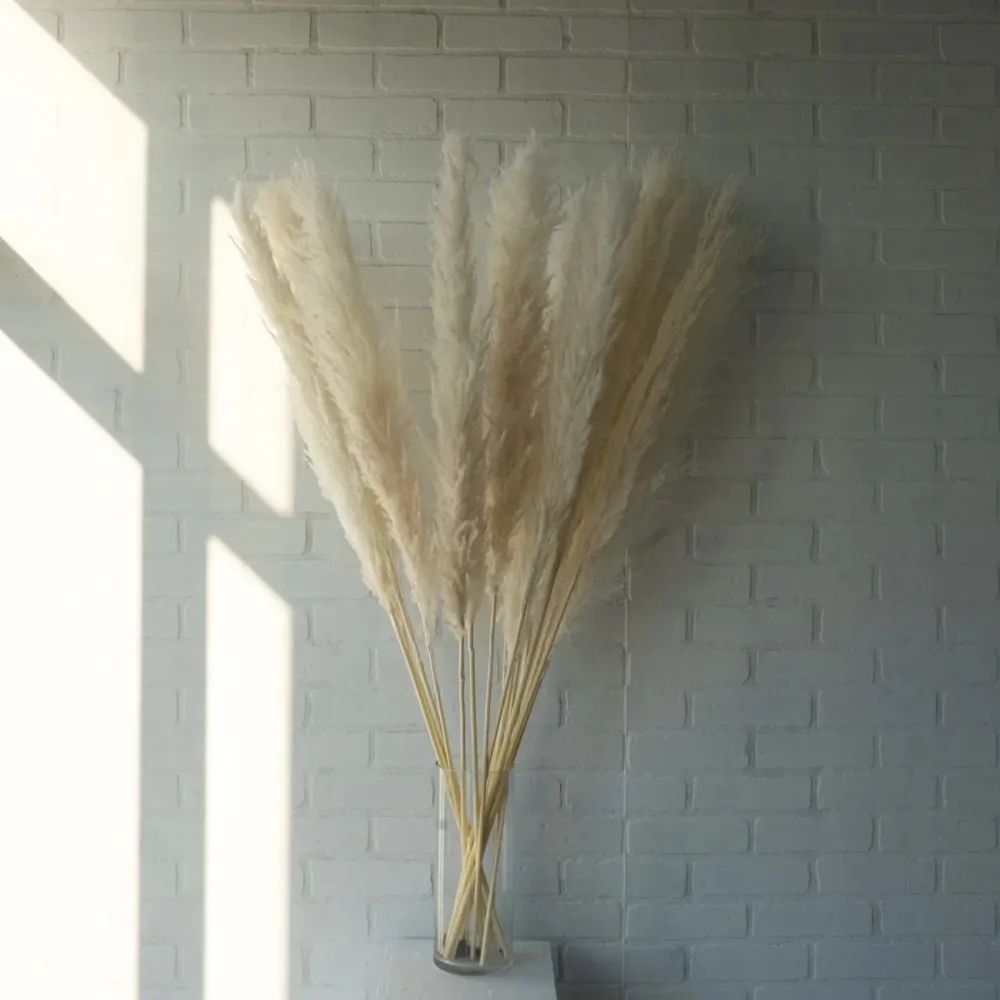 PAMPAS CRÈME Le garde-fleurs