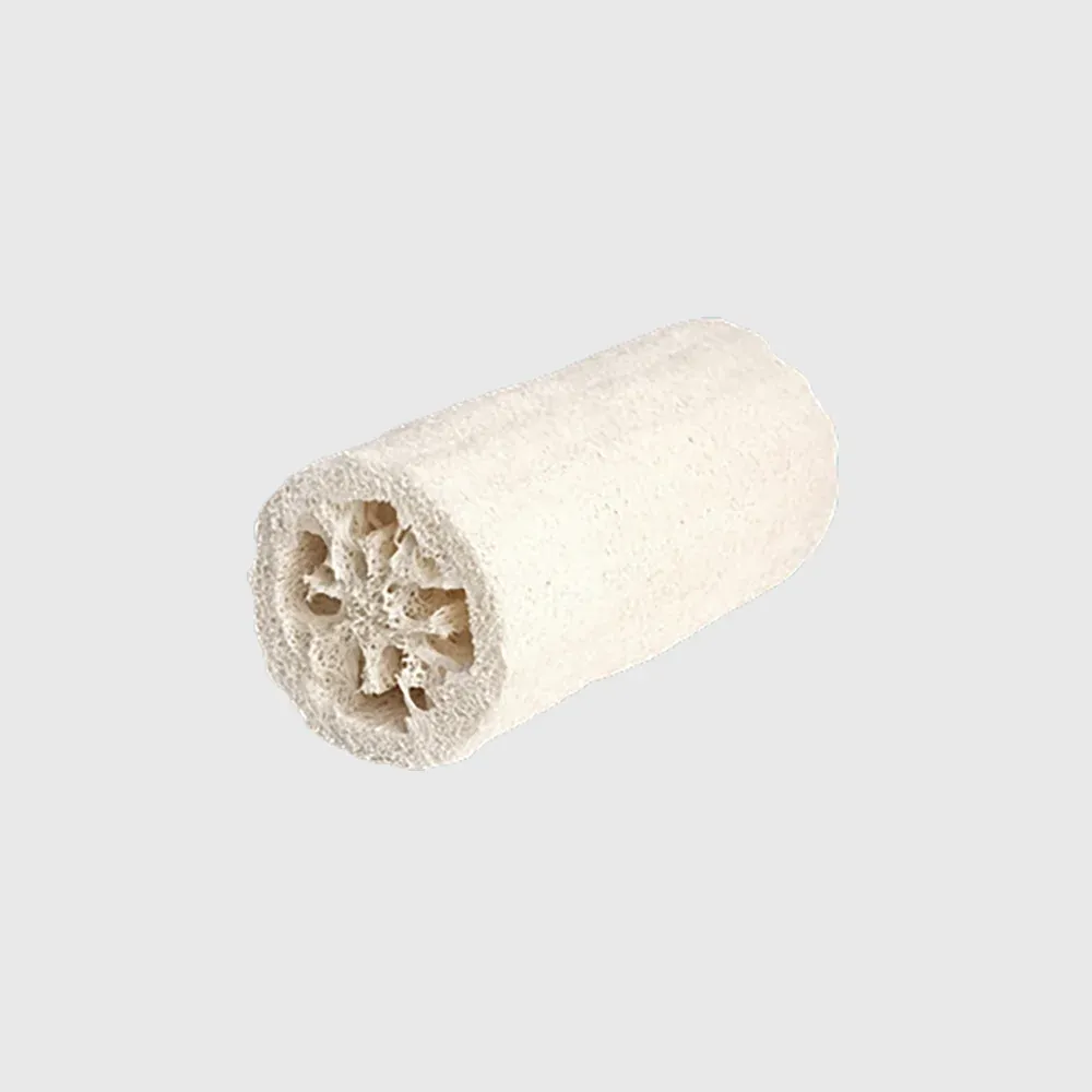 Éponge luffa