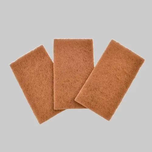 Éponges à récurer en noix de coco trio- Walnut scrubber sponges 3 pieces