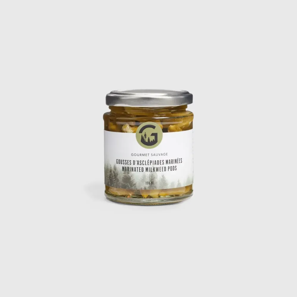 Gousses d'asclepiades marinées - Marinated milkweed pods - Gourmet Sauvage