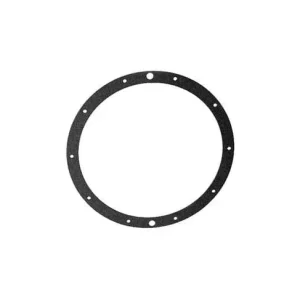HAYWARD GASKET LUMIERE - SPX0506D