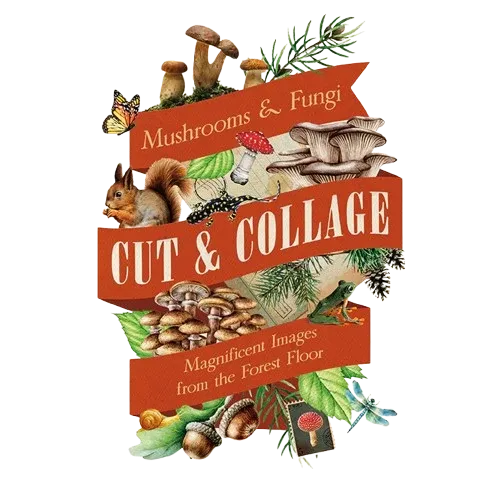 Mushrooms and Fungi - cut and collage