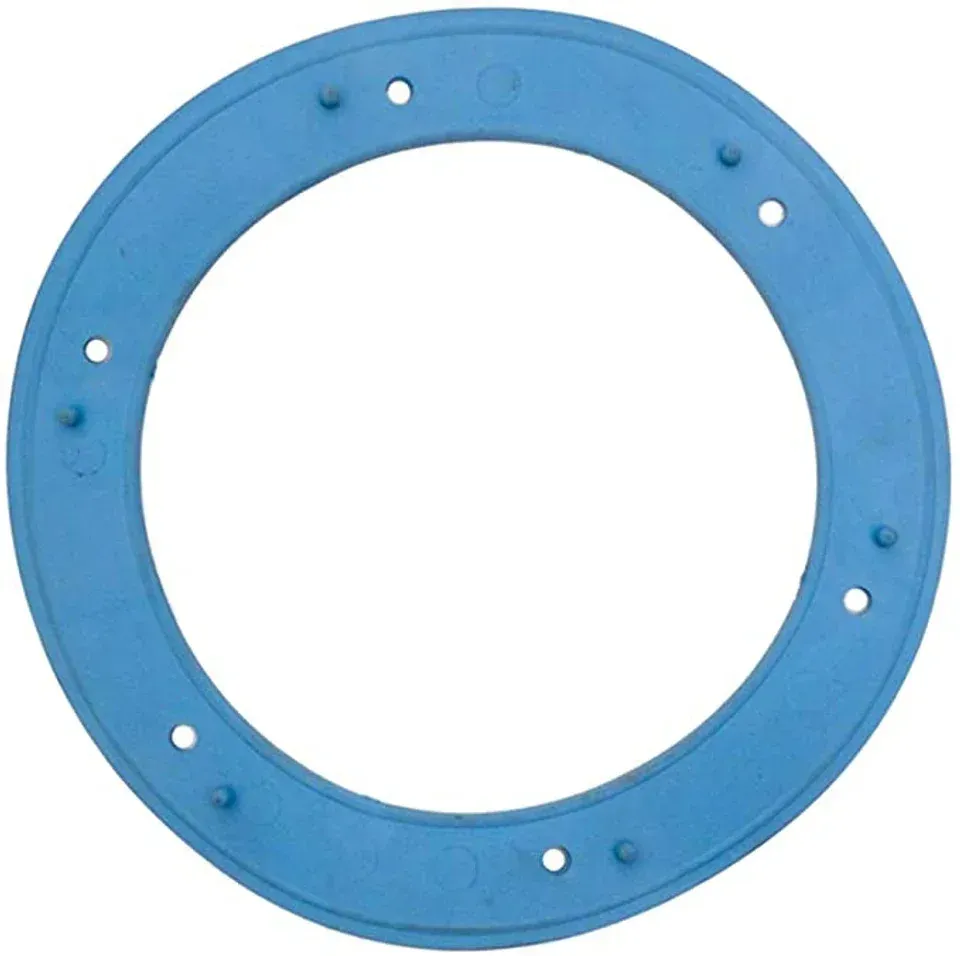 PENTAIR GASKET NICHE - 05166-0001
