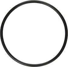PENTAIR ORING POUR CRISTAL FLO 272541