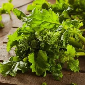 Rapini Spring Raab