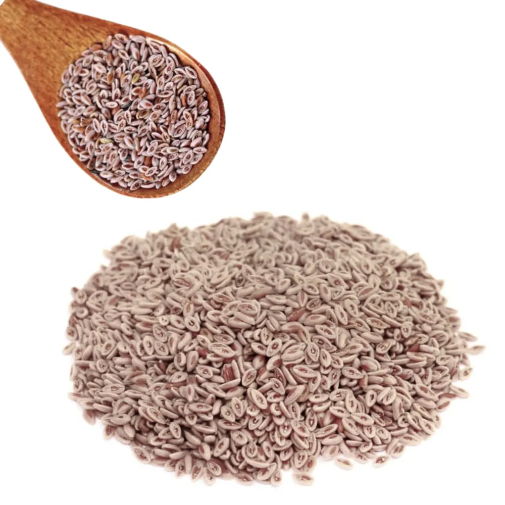 Psyllium – Graines Naturelles Ben Yaghlane