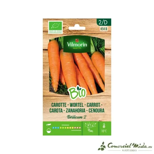 Semences BIO Carotte BERLICUM VILMORIN
