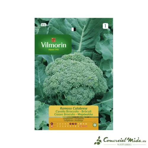 Semences Brocoli Ramoso Calabrese 9gr VILMORIN