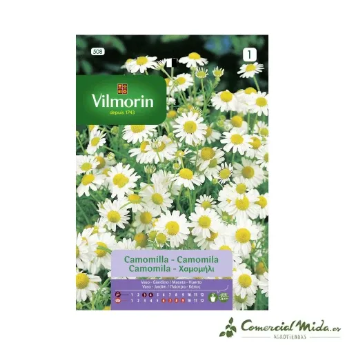 Semences de Camomille Aromatique 0,6gr VILMORIN