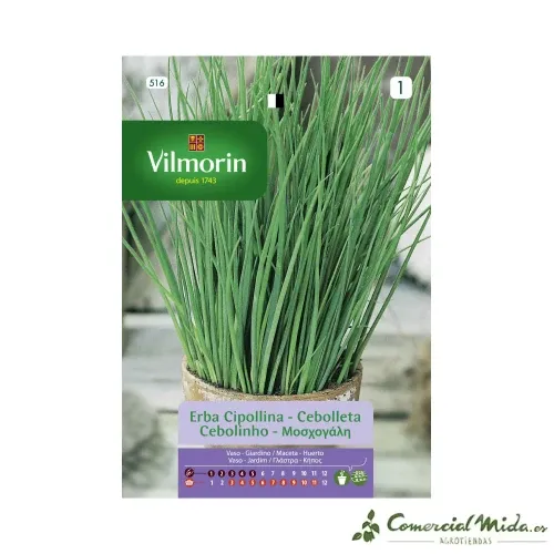 Semences de Ciboulette Aromatique 1,5gr VILMORIN