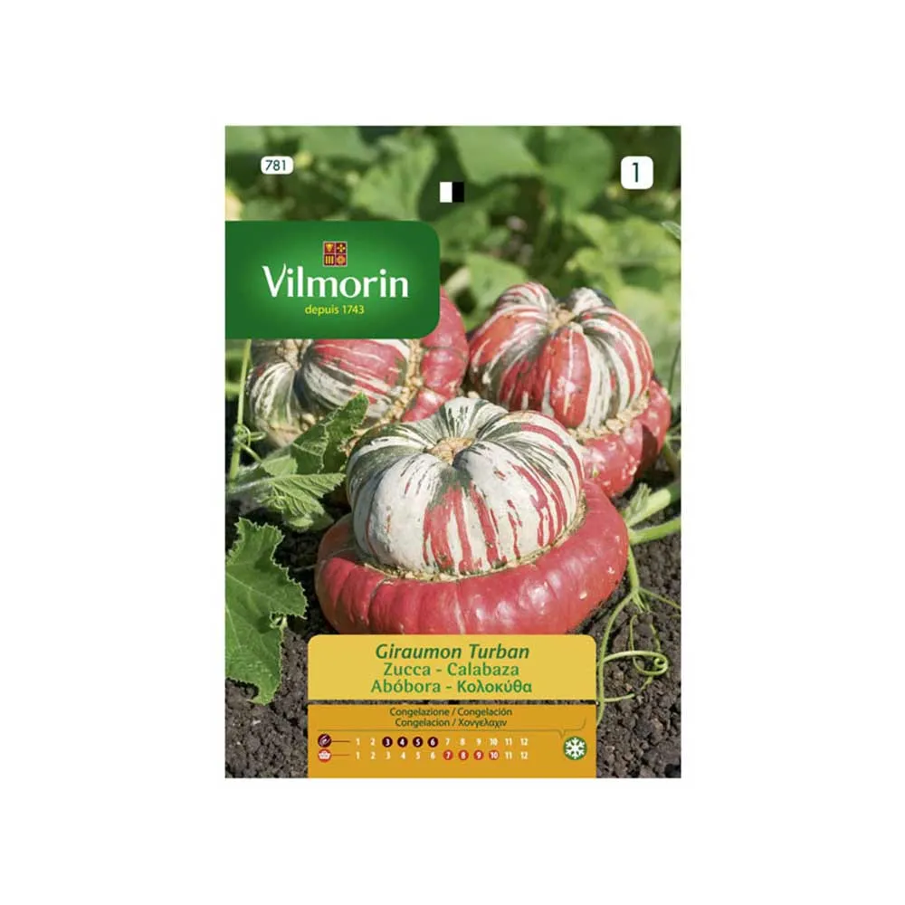 Semences de Courge Giraumound Turban 4gr VILMORIN