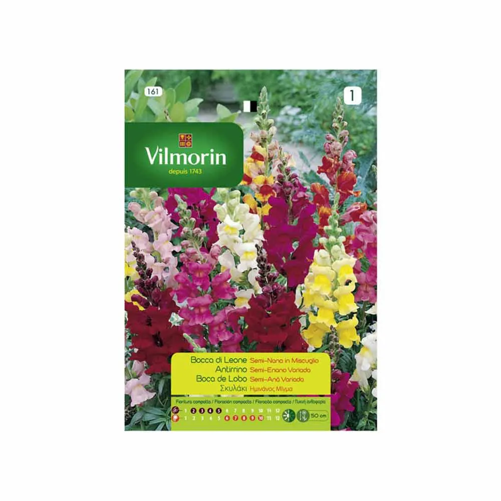 Semences d'Antirrhinum Moyen Nain Varié 0,6gr VILMORIN