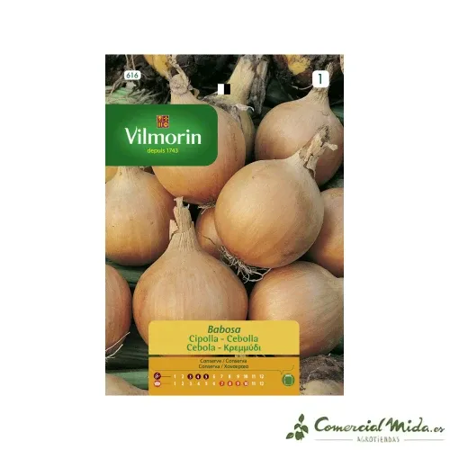 Semences d'oignon babosa 5g VILMORIN