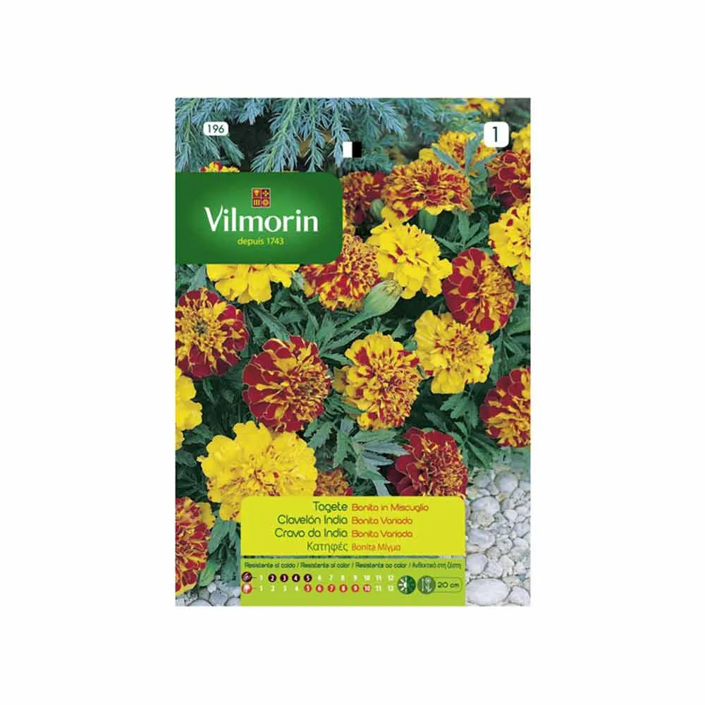 Semences Œillet Indien Belle 1,5gr VILMORIN