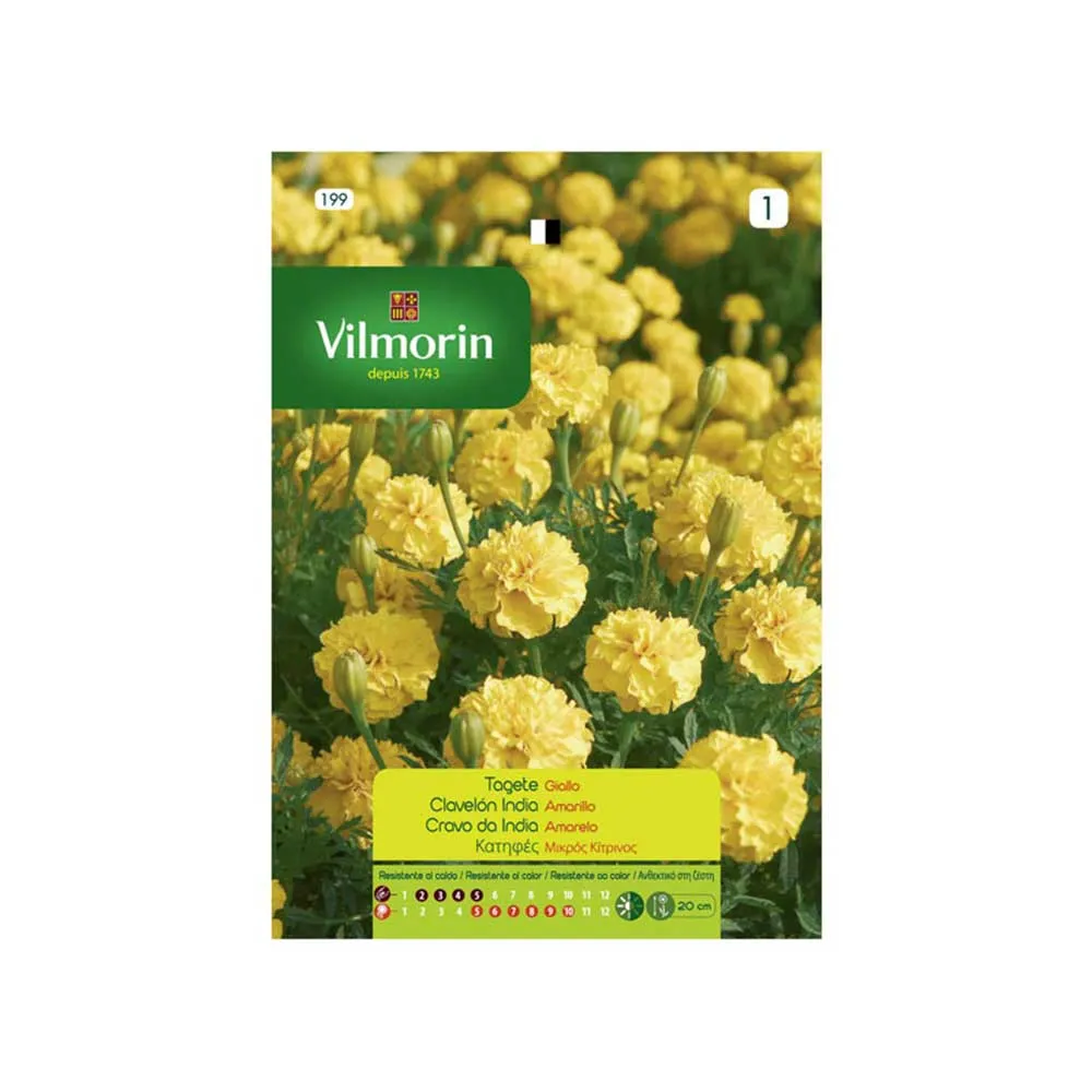 Semences Œillet Indien Jaune 1,5gr VILMORIN