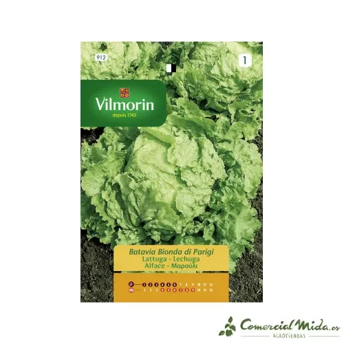 Semences Laitue Batavia Paris 7g VILMORIN