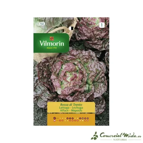 Semences de Laitue Rose Trento 5gr VILMORIN