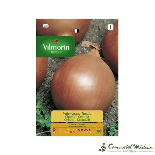 Semences Oignon Valencien Tardif 5gr VILMORIN