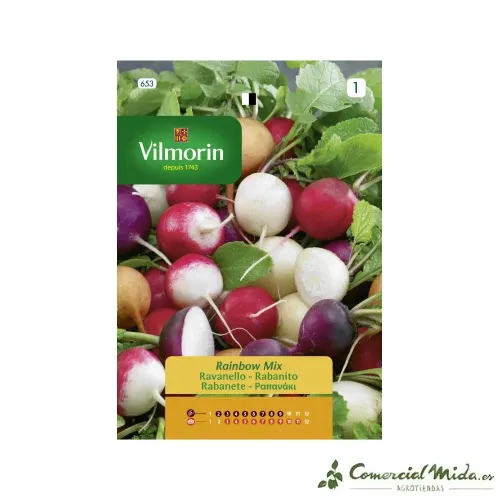 Semences de Radis Rond Multicolore 4gr VILMORIN