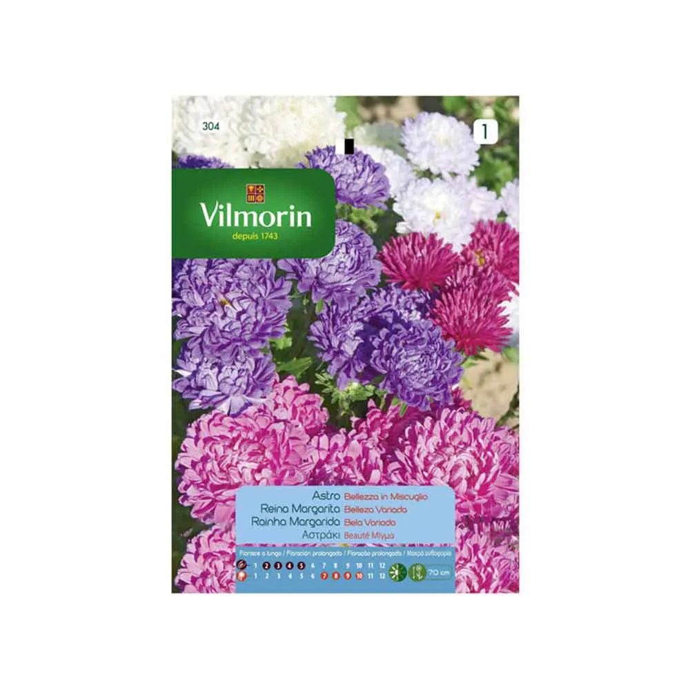 Semences Reine Marguerite Beauté 0,8gr VILMORIN