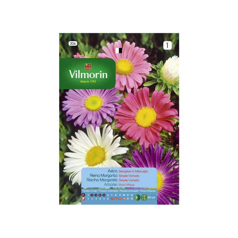 Semences Reine Marguerite Simple 0,8gr VILMORIN
