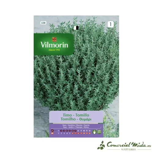 Semences de Thym Aromatique 1g VILMORIN