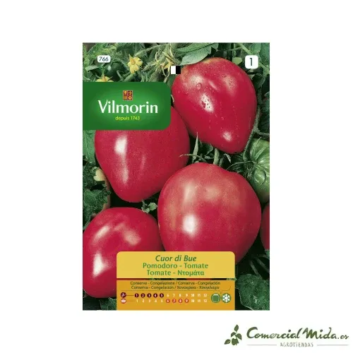 Semences Tomate Cœur de Bœuf 1gr VILMORIN