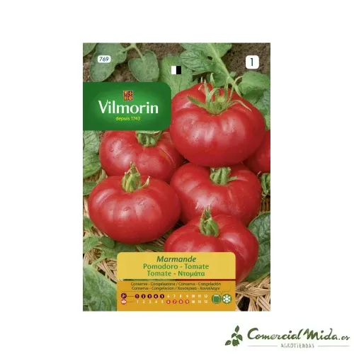 Semences Tomate Marmande 5gr VILMORIN