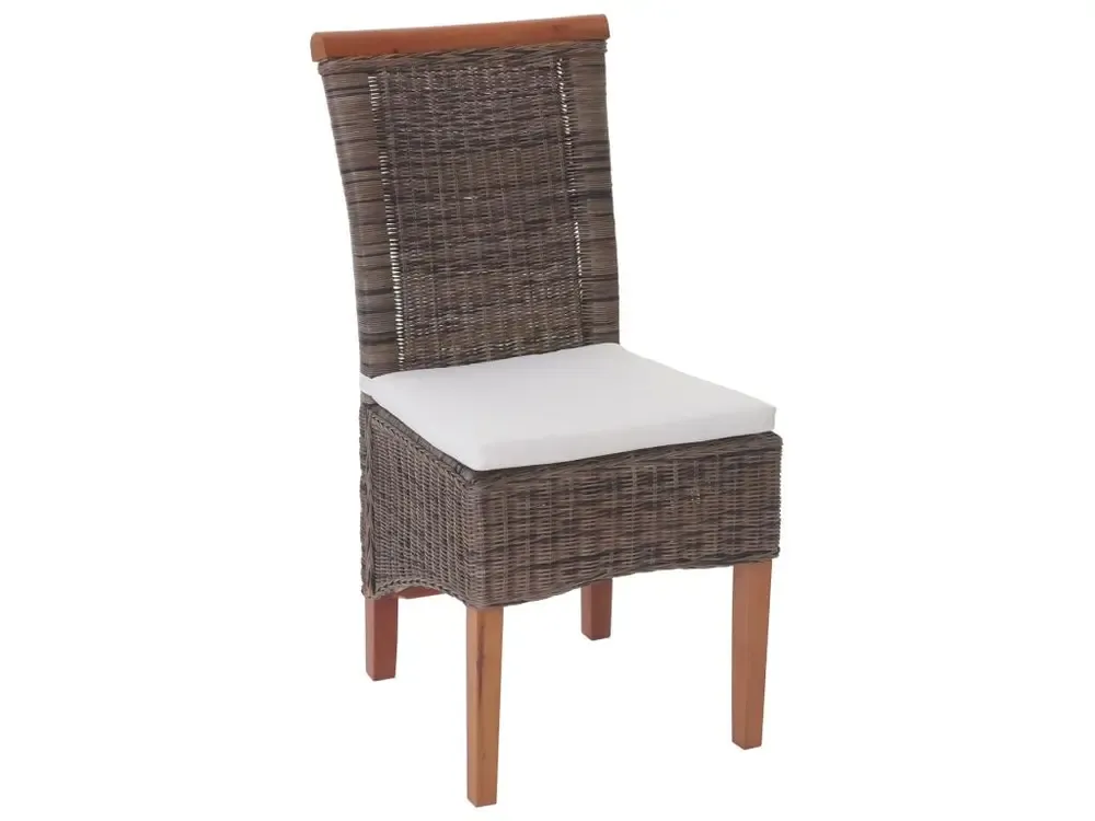Chaise de salle à manger Sinio (lot de 2), avec coussin avec Élastiques de Fixation