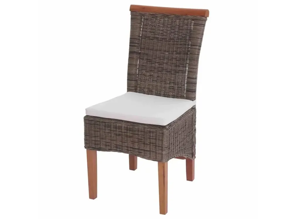 Chaise de salle à manger Sinio (lot de 2), avec coussin avec Élastiques de Fixation