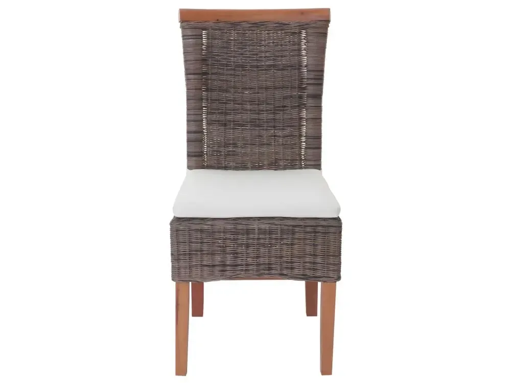 Chaise de salle à manger Sinio (lot de 2), avec coussin avec Élastiques de Fixation