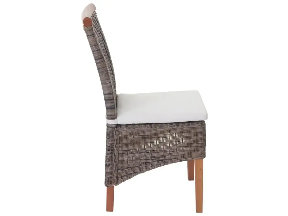 Chaise de salle à manger Sinio (lot de 2), avec coussin avec Élastiques de Fixation