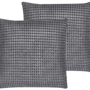 Lot de 2 coussins décoratifs en velours texturé gris profond 45 x 45 cm ASPIDISTRA