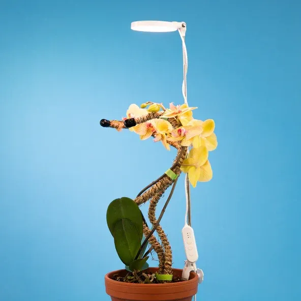 LAMPE LED RÉGLABLE POUR PLANTES MOSSIFY
