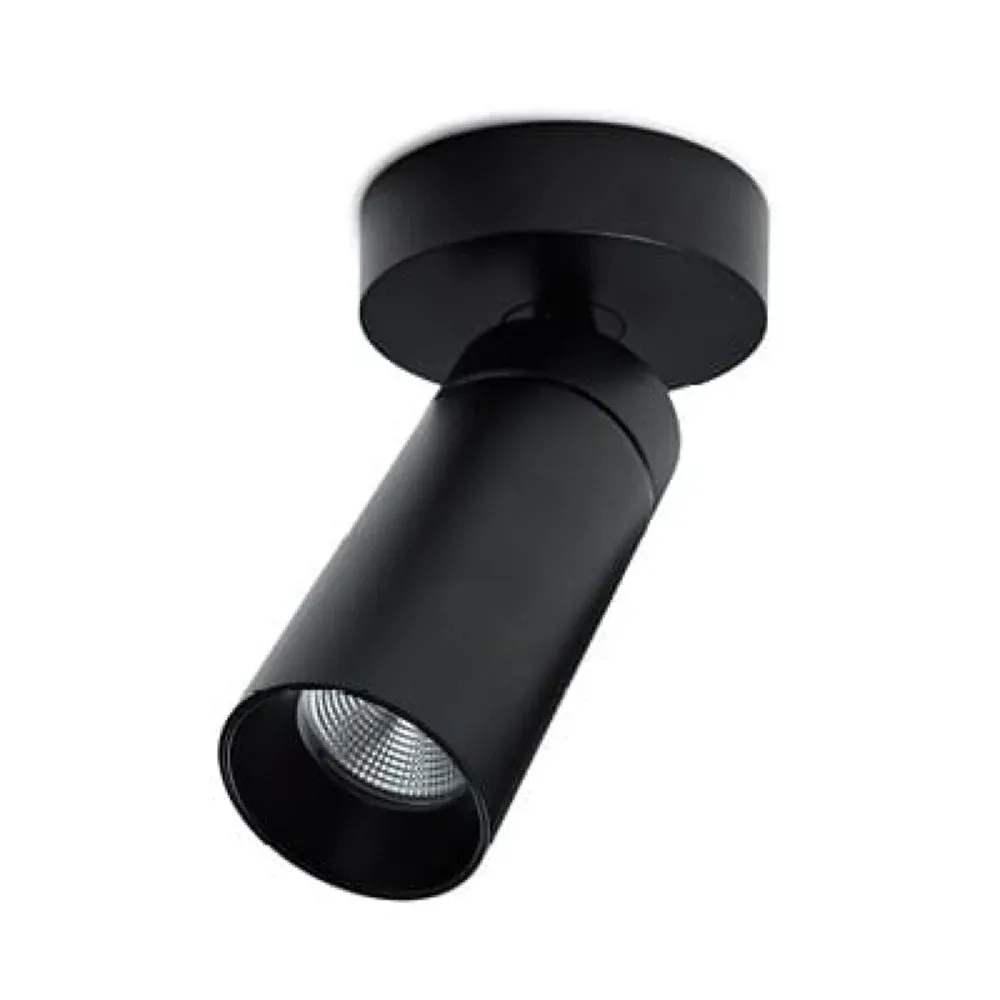 Projecteur anti-obscurité S16 Spot 1L LED D 10,2 cm White Antidark