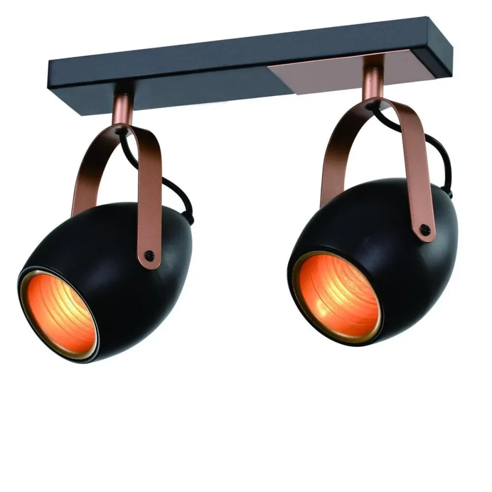 Spots de plafond Candellux Anica 2L E14 W 30cm