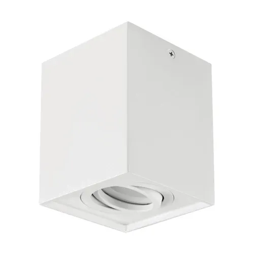 Spot de plafond STRUHM HARY GU10 35W en alliage d'aluminium moulé White