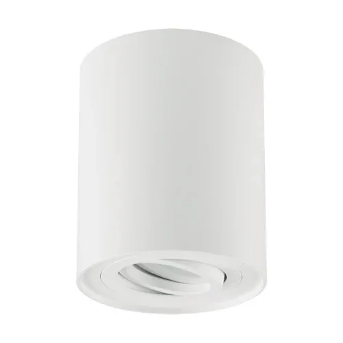 Spot de plafond STRUHM HARY GU10 35W en alliage d'aluminium moulé blanc/argent White
