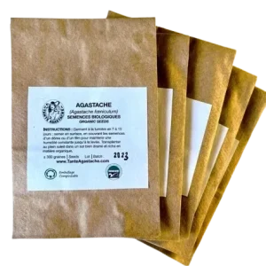 Agastache - sachet avec 300 graines