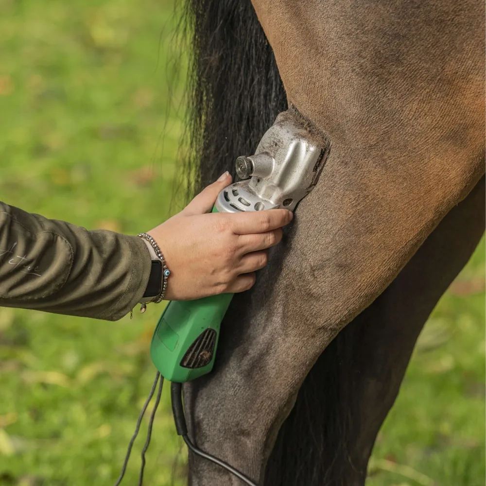 Agradi Horse Tondeuse HC-2000 Cheval Vert