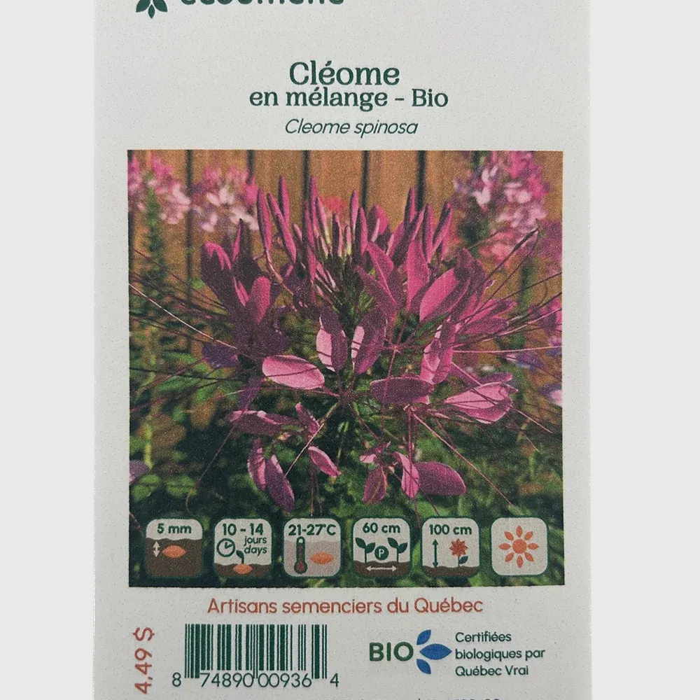 Cléome en mélange