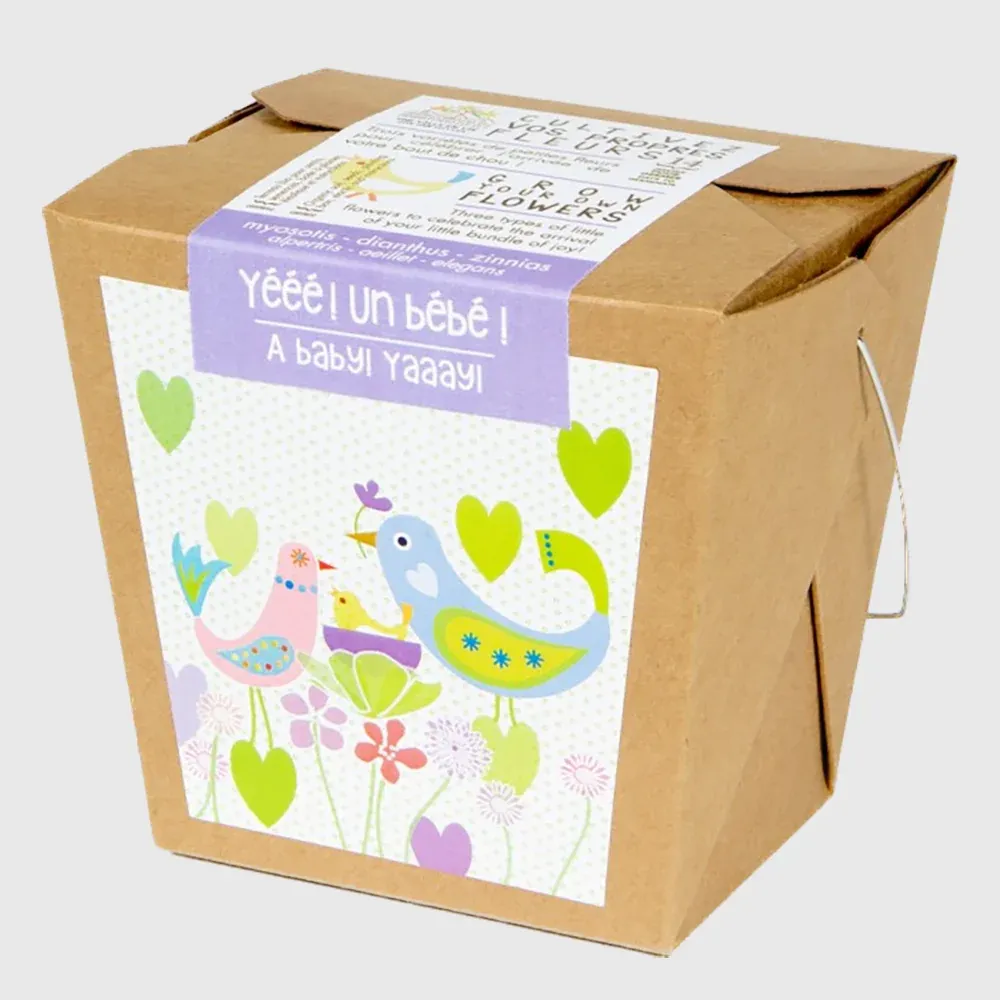À faire pousser chez toi : Yééé ! Un Bébé