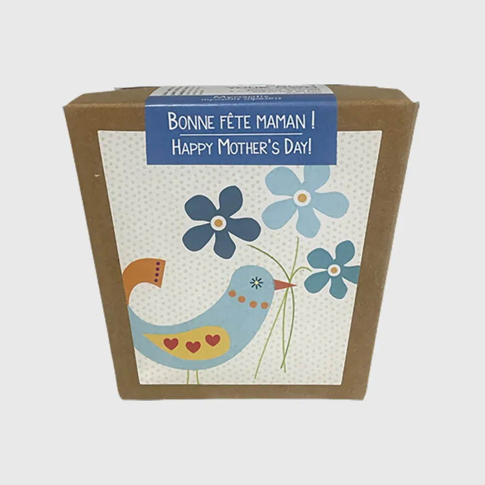 À faire pousser chez toi : Bonne fête maman
