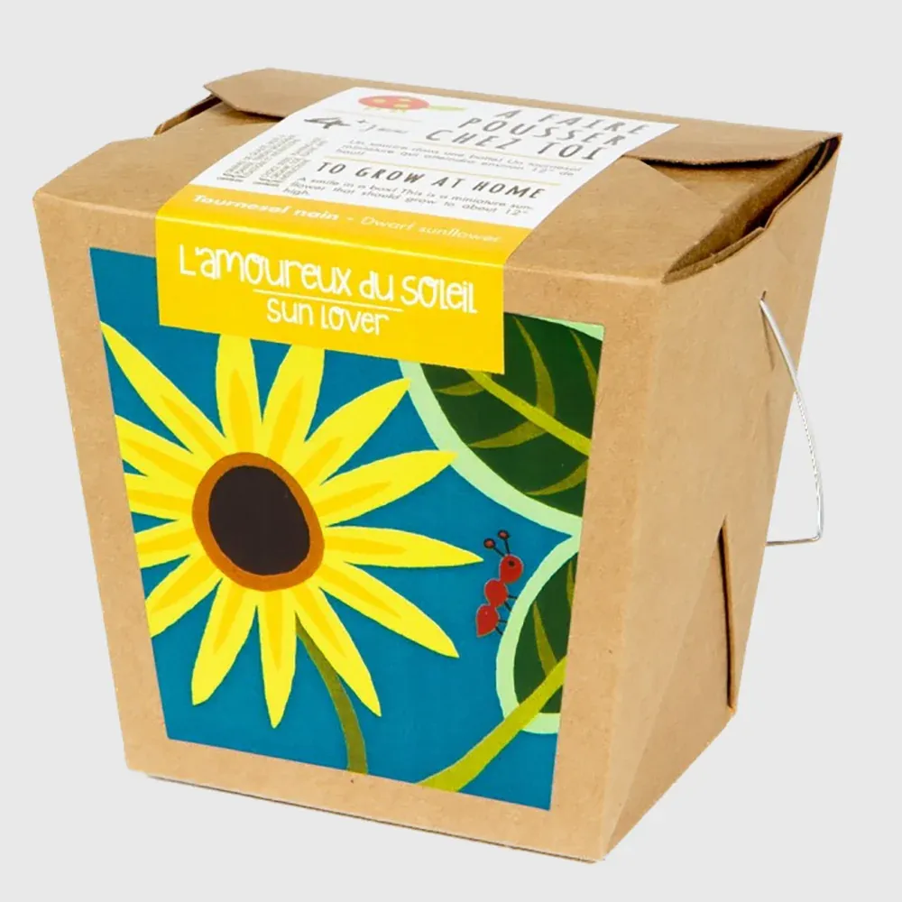 À faire pousser chez toi : Fleur de soleil / Sun lover / Tournesol