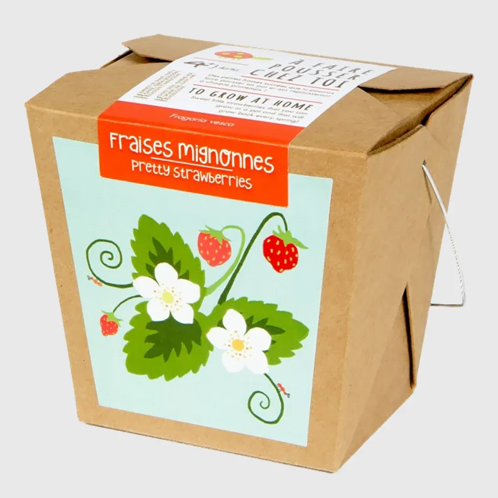 À faire pousser chez toi : Fraises mignonnes