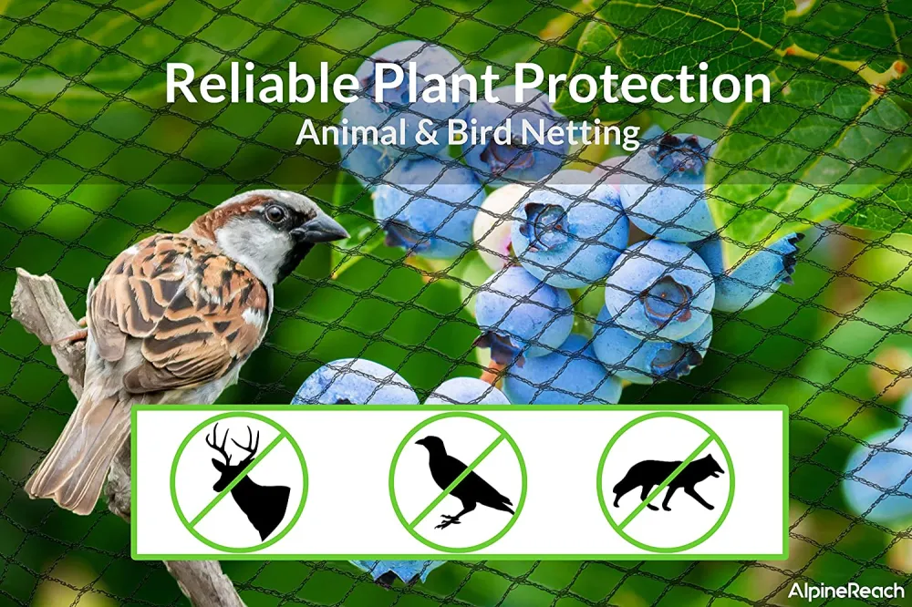Filet anti-oiseaux de jardin AlpineReach 2m x 30m vert