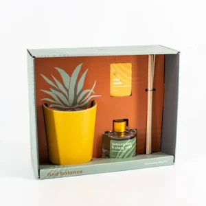 Find Balance - Grounding Aloe Kit / Kit mise en terre Aloes