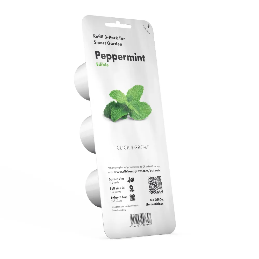 Gousses de menthe poivrée