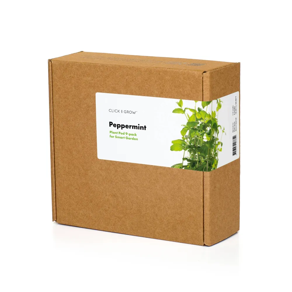 Gousses de menthe poivrée