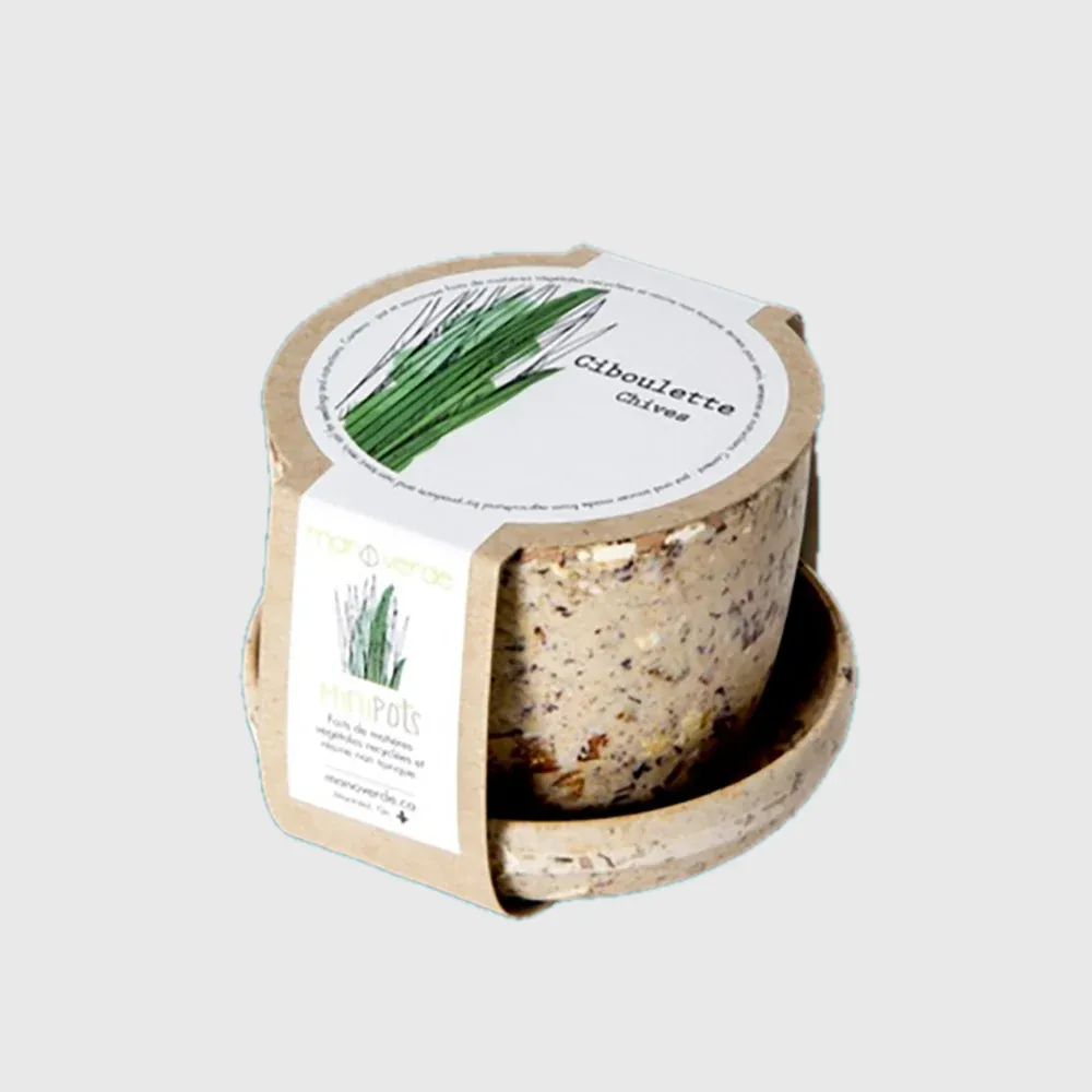Minipots : ciboulette